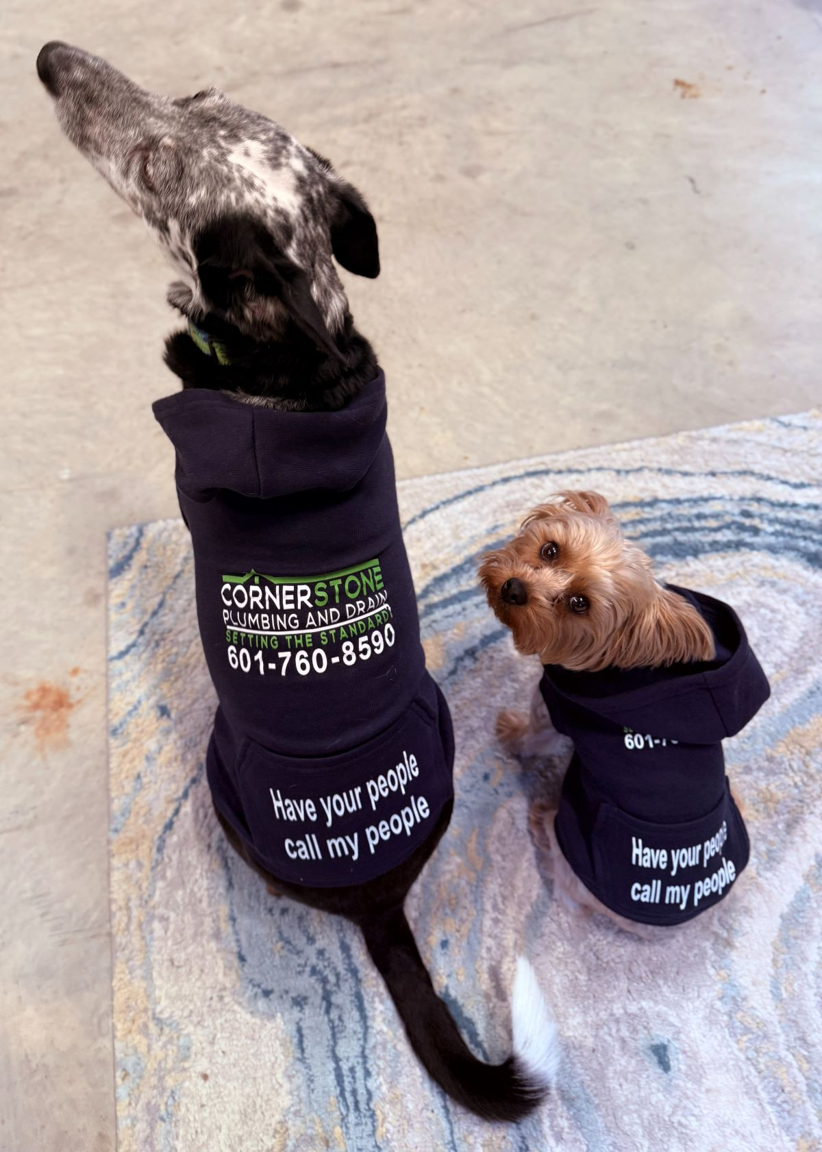 dogs